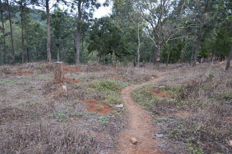 kollihills 30.jpg