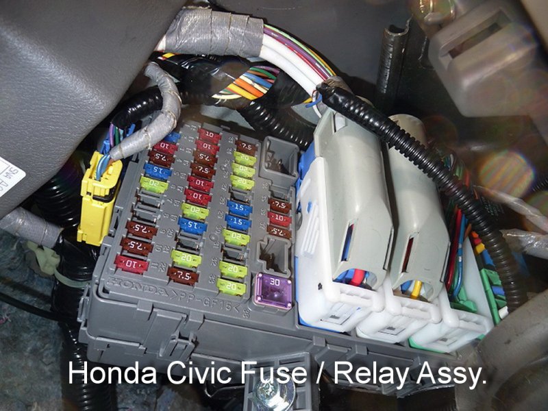 HONDA RELAY.jpg