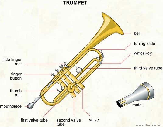 036 Trumpet.jpg