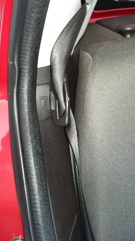 Seat Belt.jpg