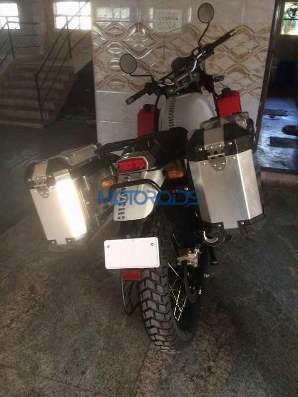 RE-Himalayan-white-rear.jpg