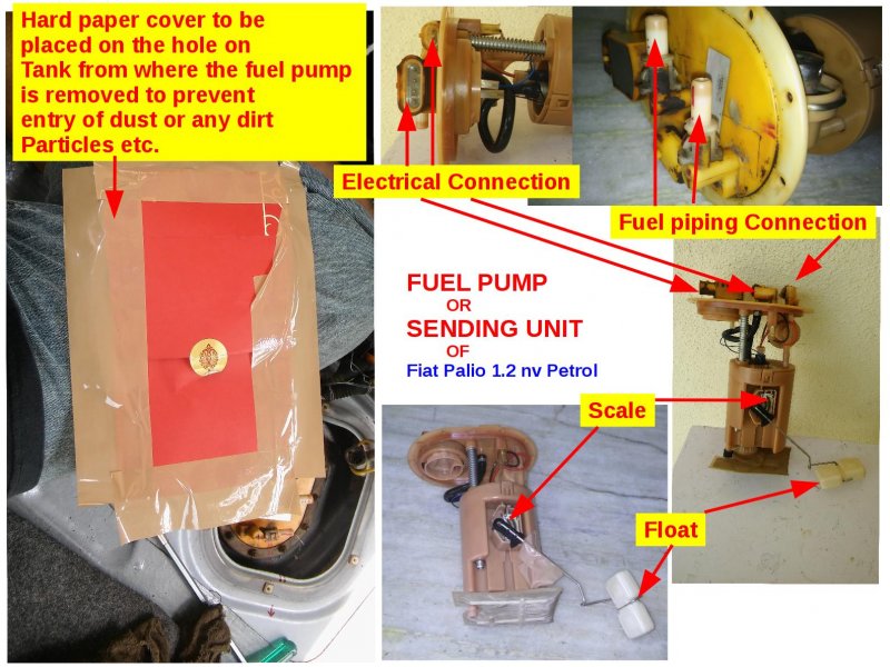 004-Cover & Fuel Pump.jpg