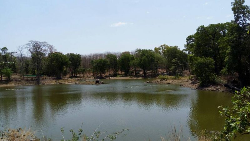 Pench Tiger Reserve.jpg