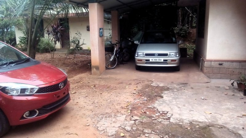 tiago in our courtyard.jpg