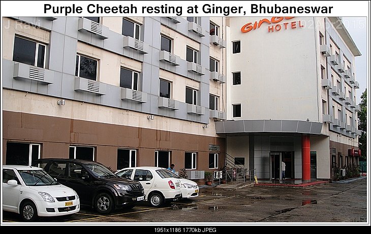 GingerBhubaneswar.JPG