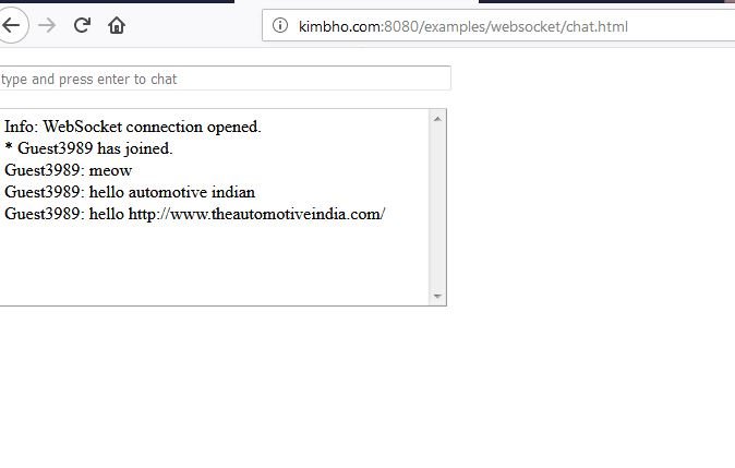 webscoket example.JPG