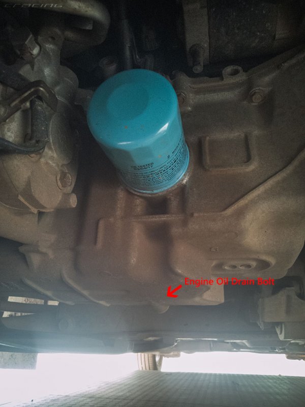 CR_ANHC09_Oil_Filter_Drain_Bolt.jpg