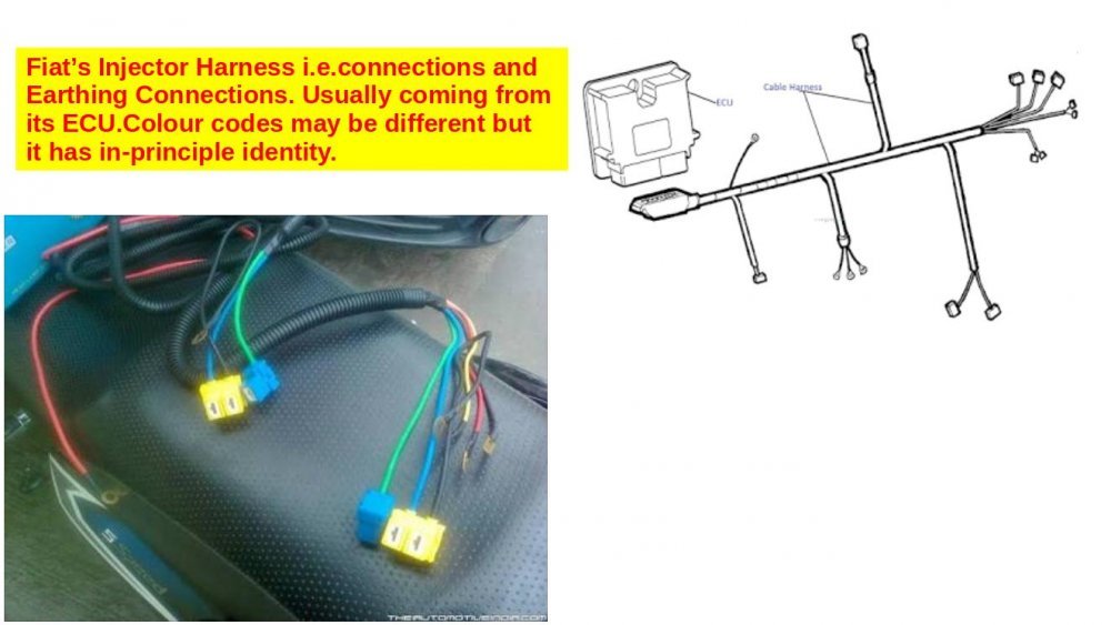 Fiat’s Injector Harness.jpg