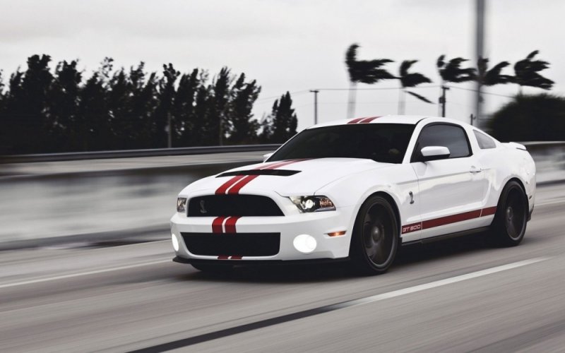 cars_muscle_cars_vehicles_1781x1055_wallpaper_High Resolution Wallpaper_1280x800_www.wallpaperfo.jpg