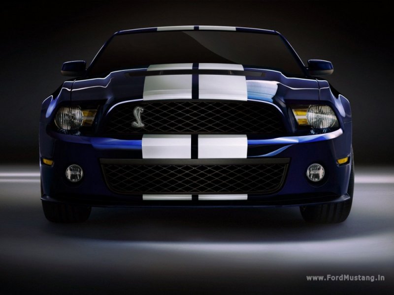 ford-mustang-shelby-gt500-2010-01.jpg