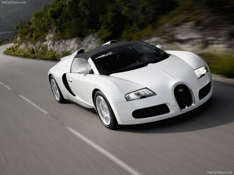 Bugatti-Veyron_Grand_Sport_2009_800x600_wallpaper_05.jpg