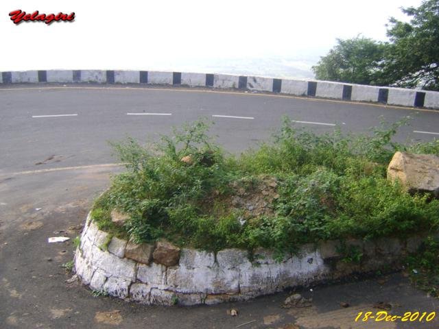 Yelagiri015.jpg