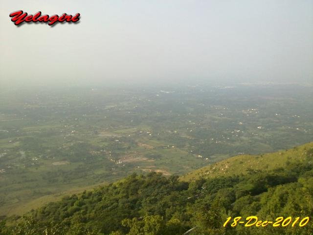 Yelagiri020.jpg