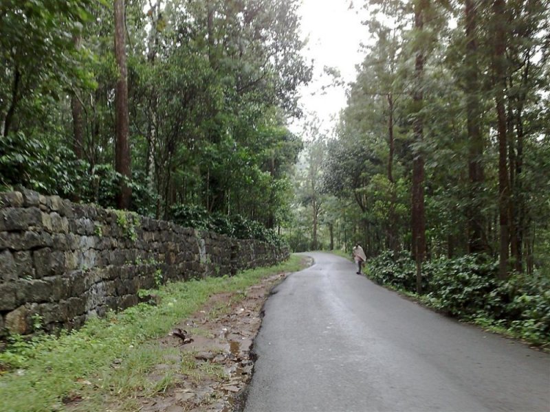 yercaud1 064 (Large).jpg