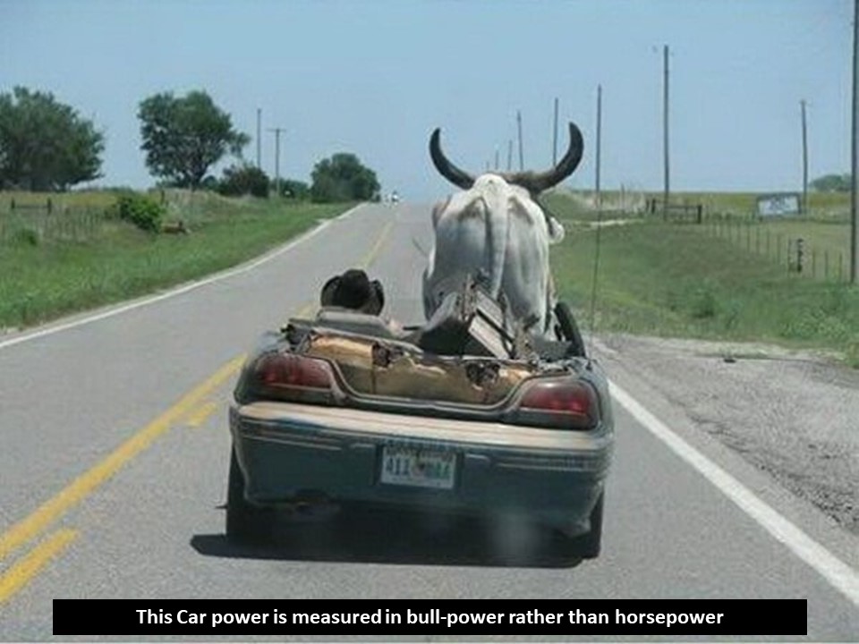 Car Jokes4.JPG