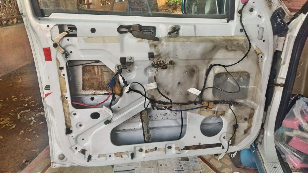 P_20190310_165152_HDR.jpg