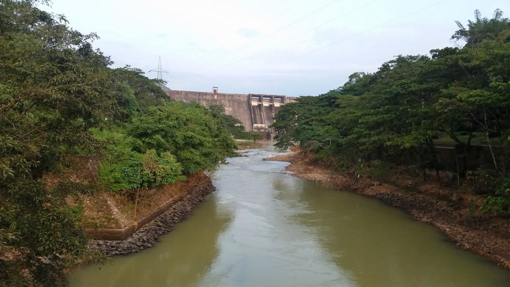 Thenmala Dam (2).JPG