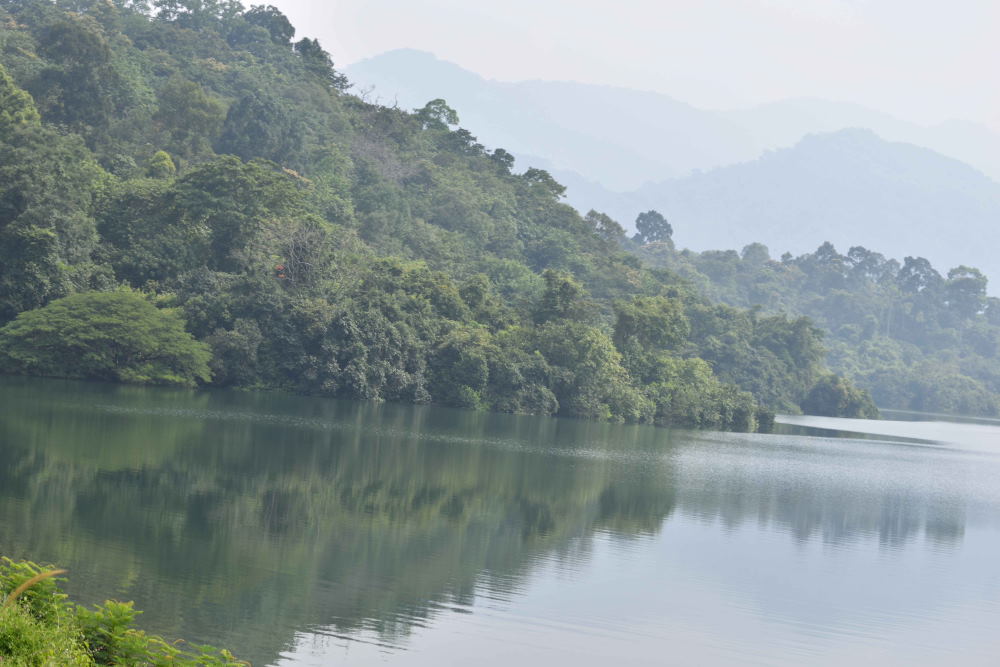 Thenmala Reservoir 5.JPG