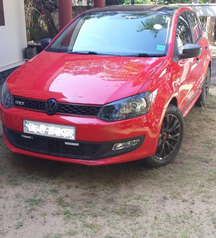 polo3.jpg