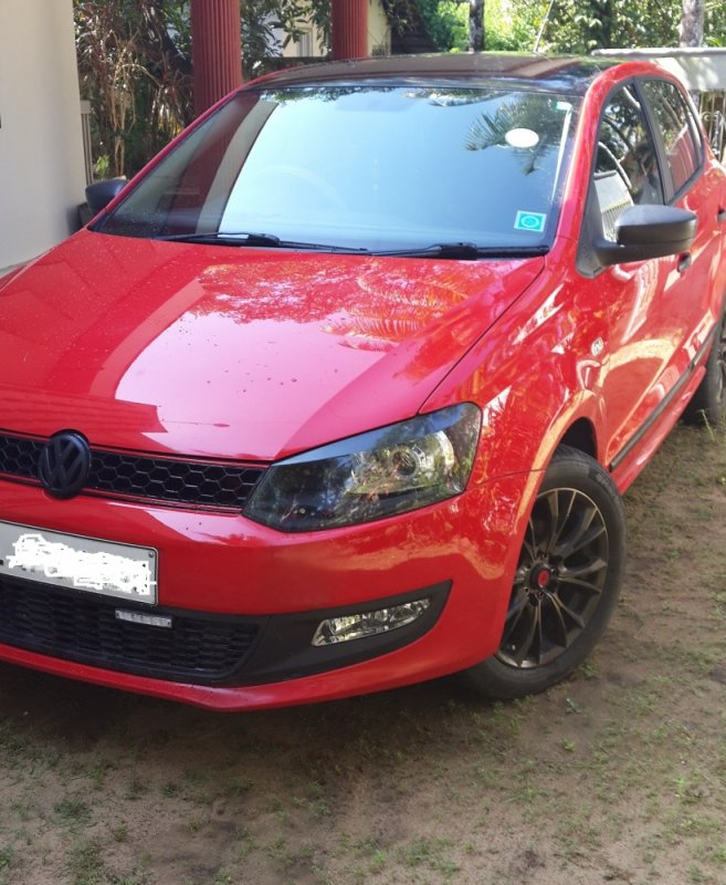 polo4.jpg