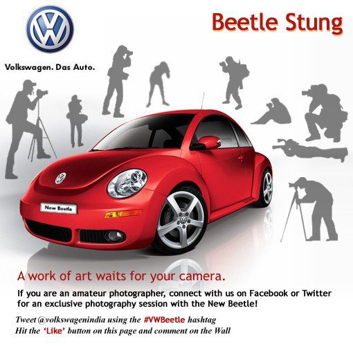 beetle_stung.jpg