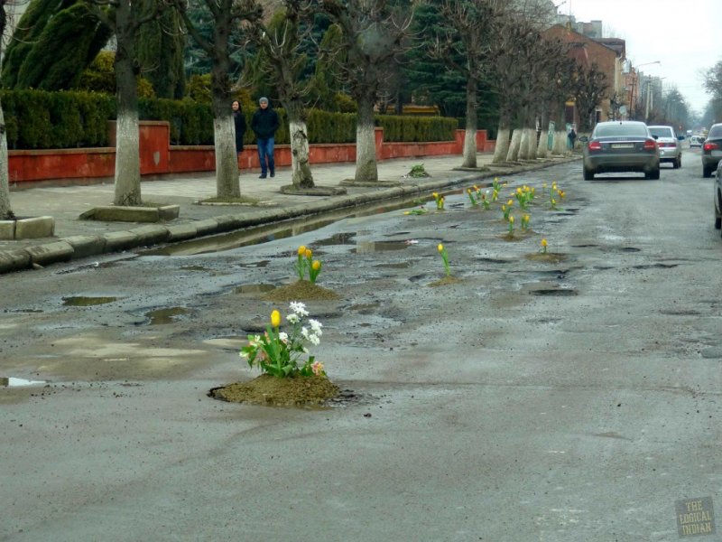 Tulip-Potholes.jpg