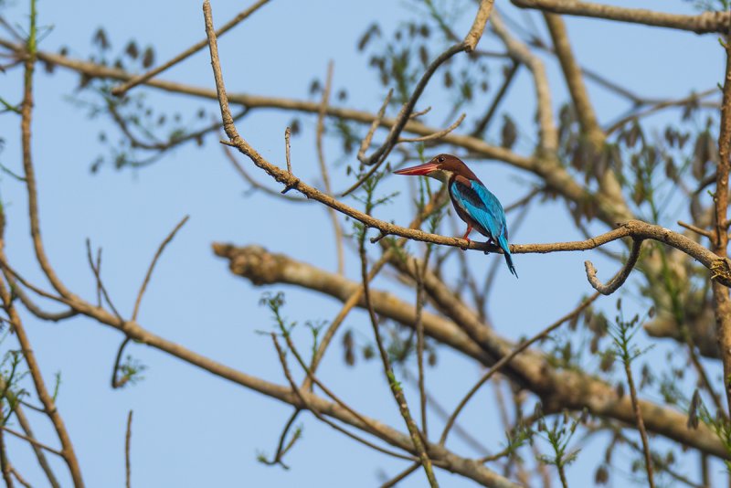 DSC_6042.jpg