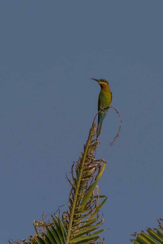 DSC_6363.jpg
