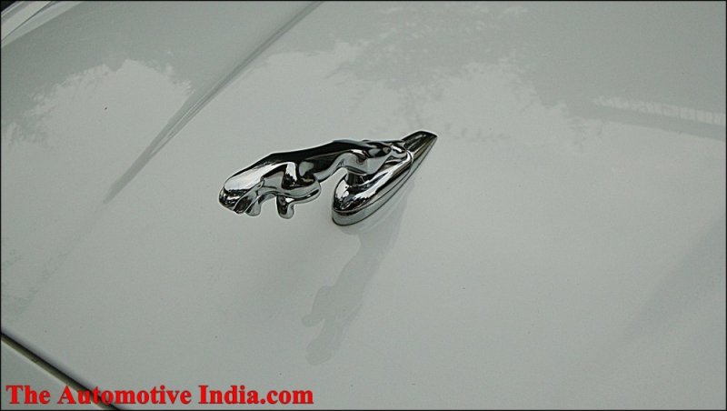 Jaguar Bonnet Logo.jpg