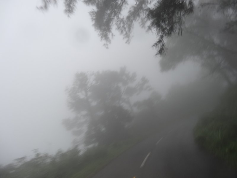 DSC01555.jpg