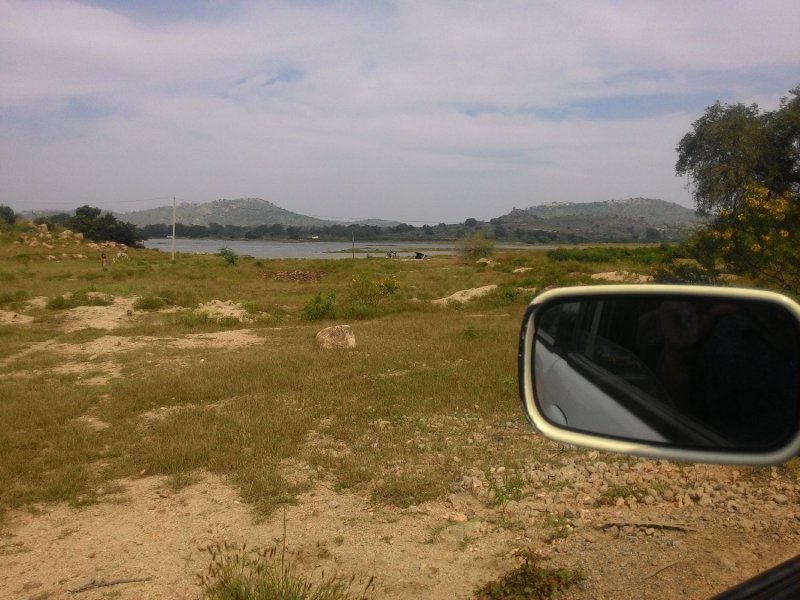 E- LH Mirror.jpg