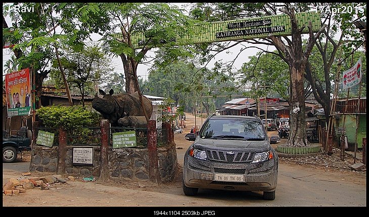 CheetahInKaziranga.JPG