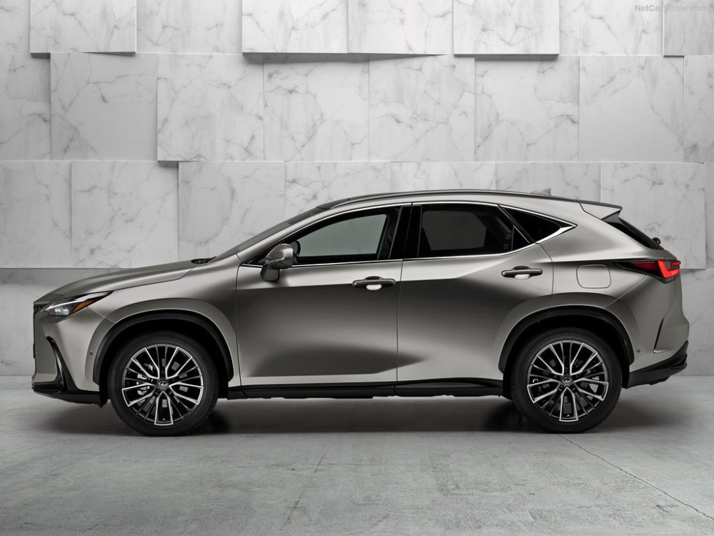 Lexus-NX-350h-2.jpg