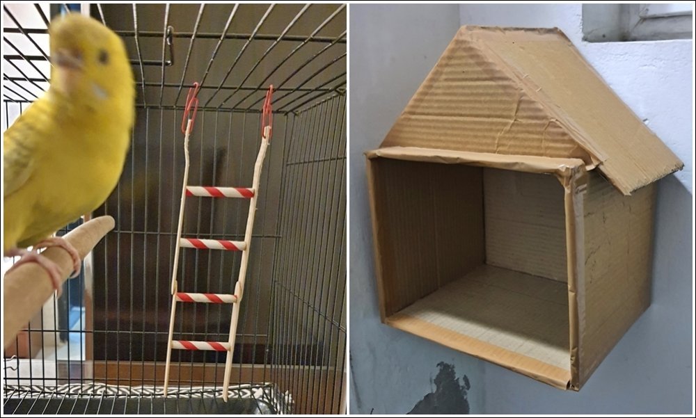 DIY-Bird-House-Ladder.jpg