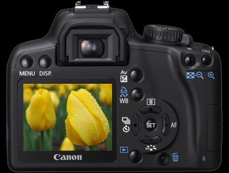 Canon-Rebel-XS-back2.jpg