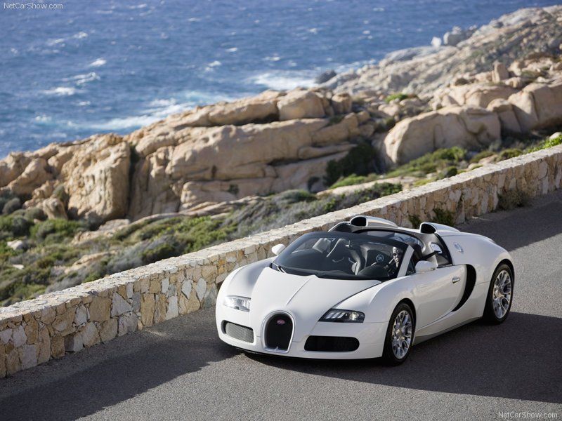 Bugatti-Veyron_Grand_Sport_2009_800x600_wallpaper_07.jpg
