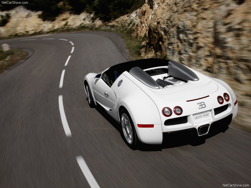 Bugatti-Veyron_Grand_Sport_2009_800x600_wallpaper_0f.jpg