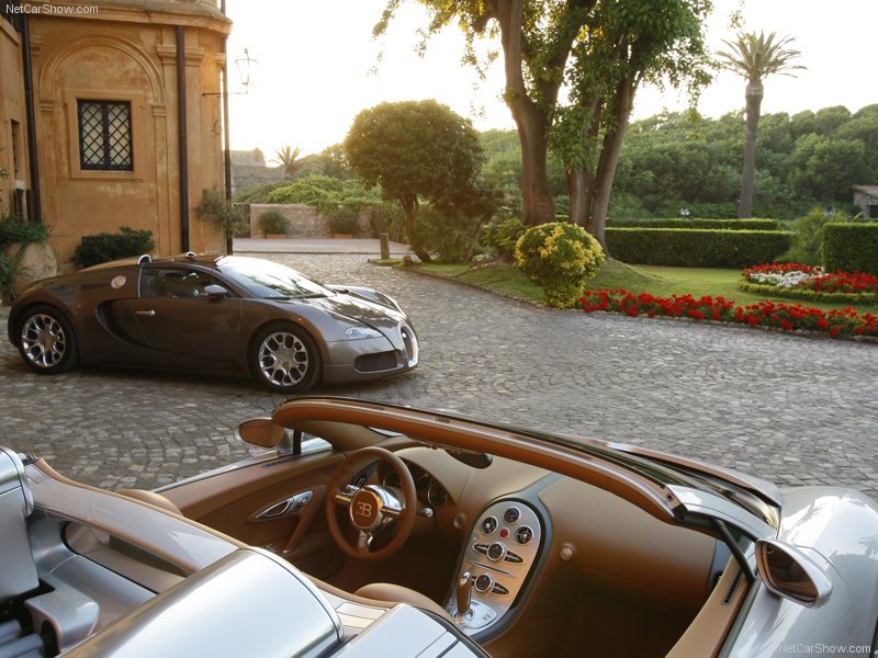 Bugatti-Veyron_Grand_Sport_2009_800x600_wallpaper_3e.jpg