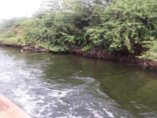 DSCF0036.JPG