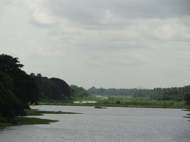 DSC02017a.jpg