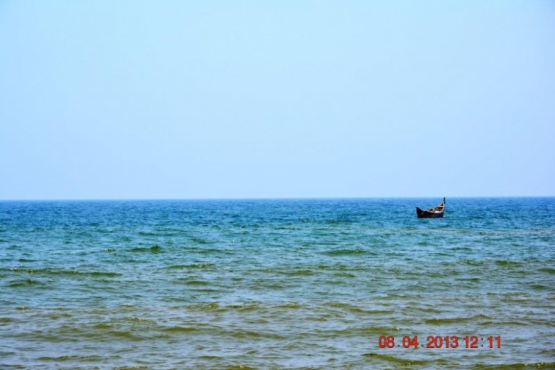 DSC_0226.jpg