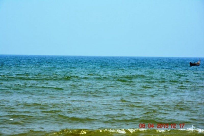 DSC_0237.jpg
