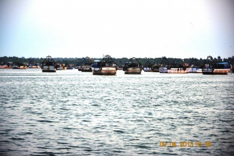 DSC_0518.jpg