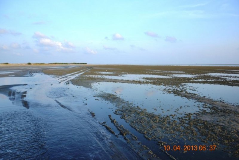 DSC_0583.jpg