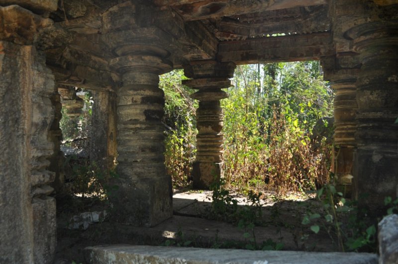 DSC_0242.jpg