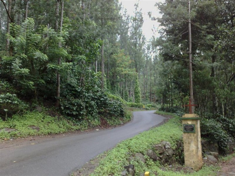 yercaud1 065 (Large).jpg