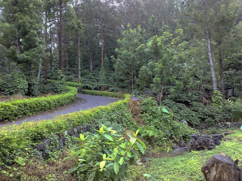 yercaud1 067 (Large).jpg