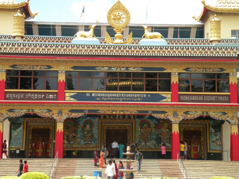 DSCN6801.jpg