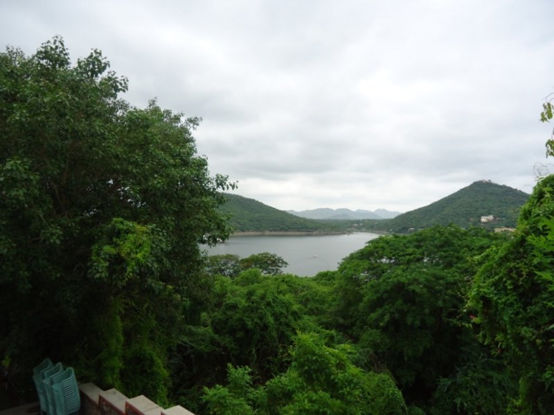 DSC03225.jpg
