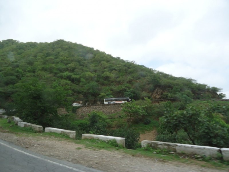 DSC03407.jpg